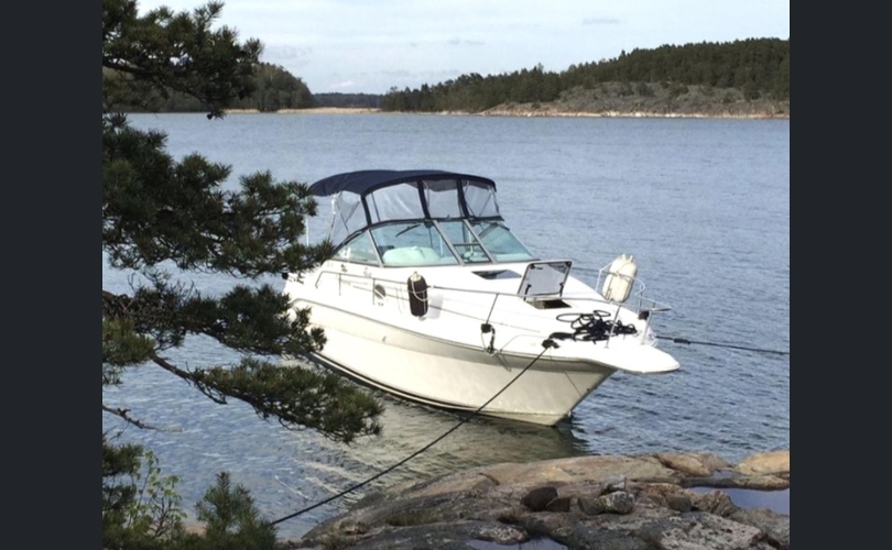 Sea Ray 270 Sundancer-kuva-10